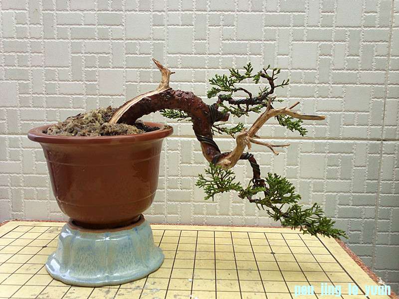 201303152528_.jpg