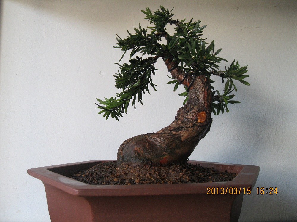 IMG_1775.JPG