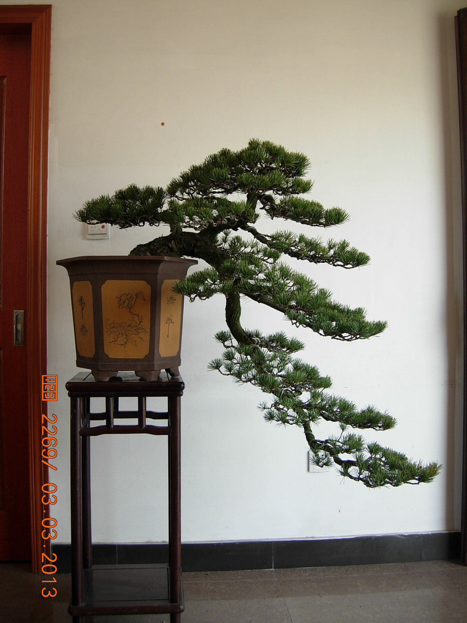 DSCN6552.JPG