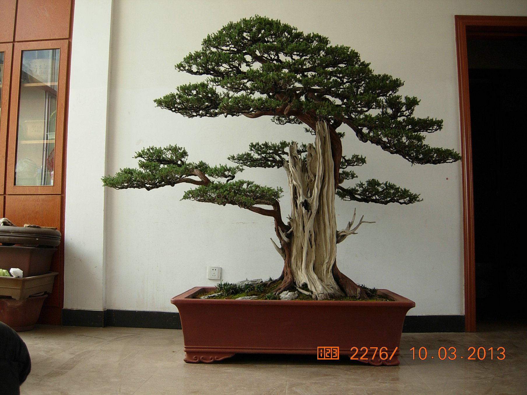 DSCN6562.JPG