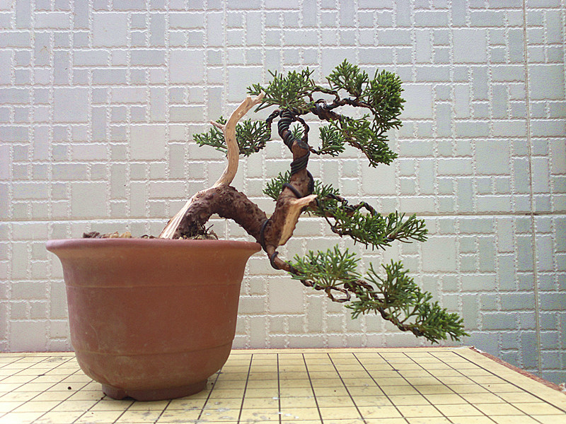 201303162533_.jpg