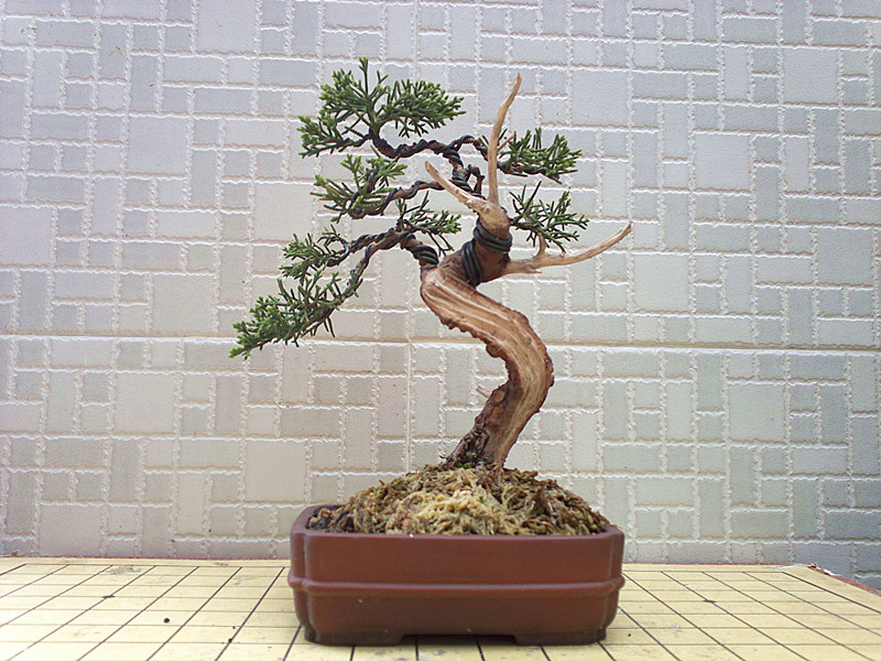 201303162532_.jpg