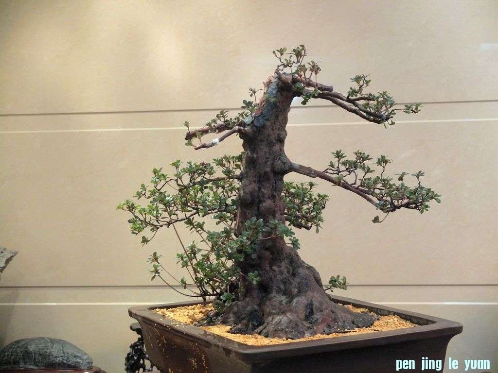 DSCF1691.jpg