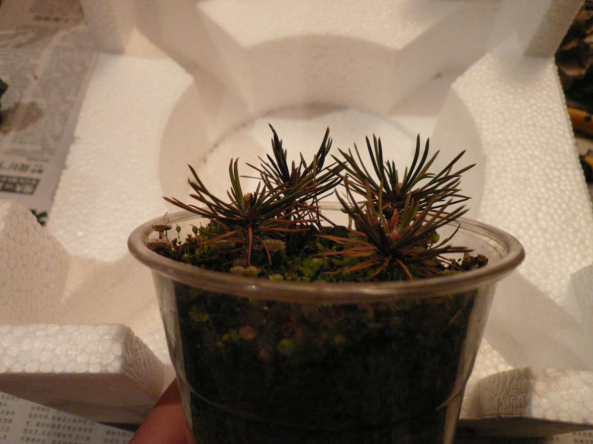 P1110730.JPG