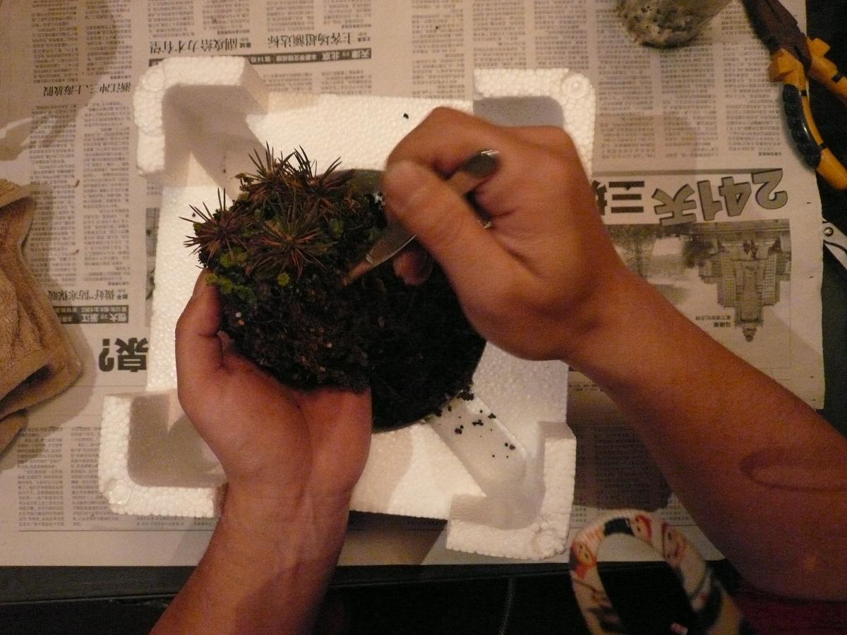 P1110733.JPG