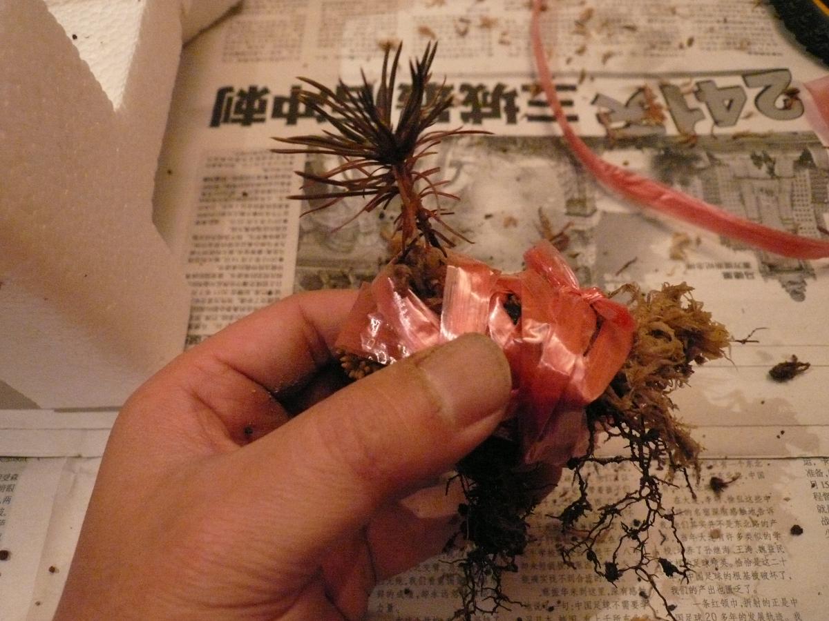 P1110737.JPG