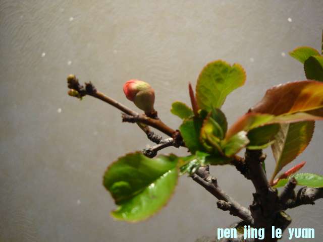 DSC02460.JPG