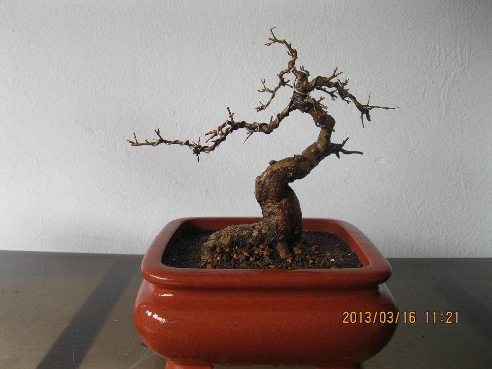 IMG_1783.JPG