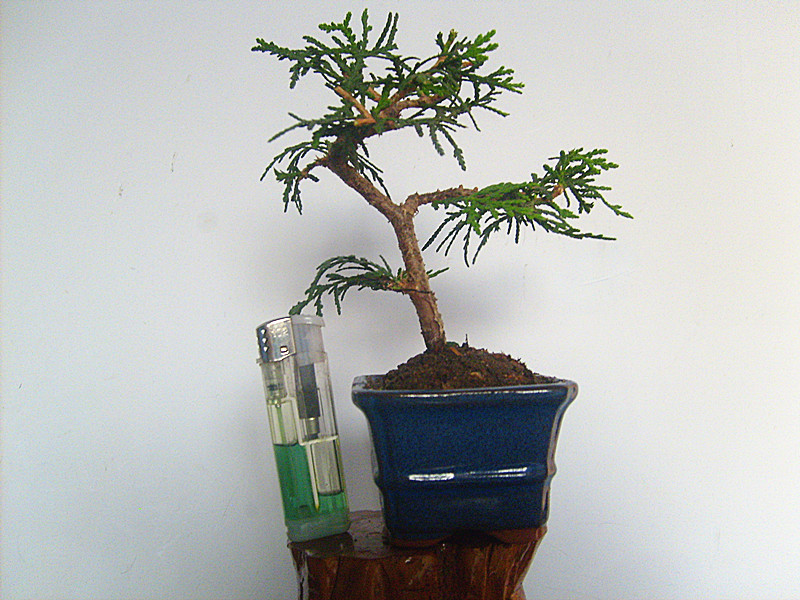 20131_.jpg