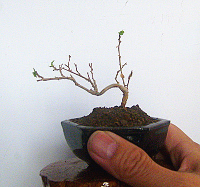 20134_.jpg
