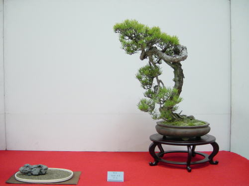 19kai-mukainaka-takuo-dai.jpg