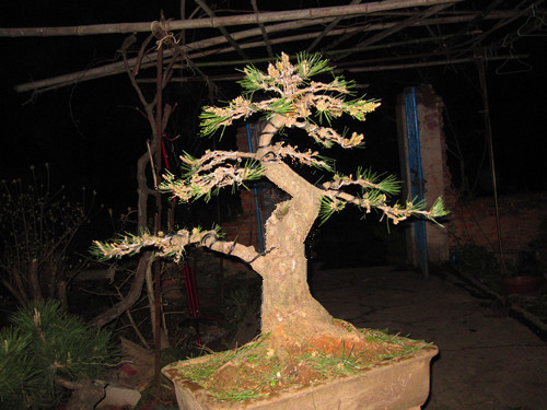 IMG_5144__.jpg
