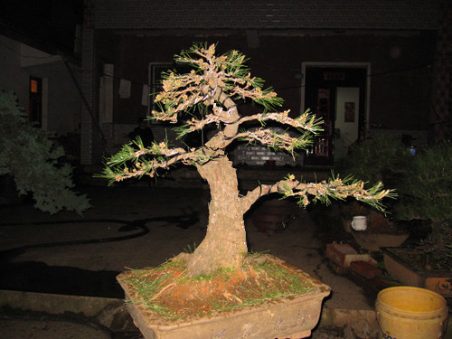 IMG_5138__.jpg