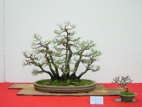 19kai-itou-masayosi-dai.jpg