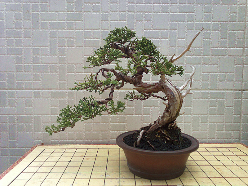 201303222630_.jpg