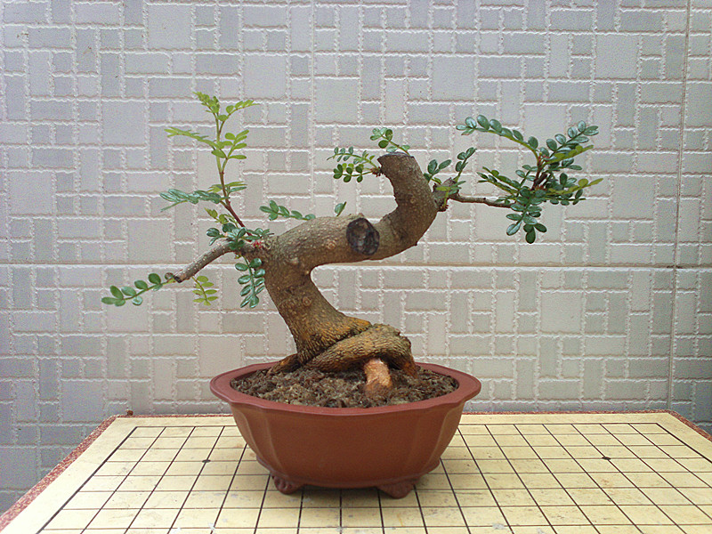 201303222627_.jpg