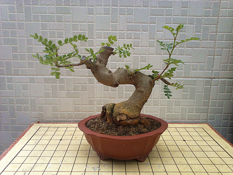 201303222628_.jpg
