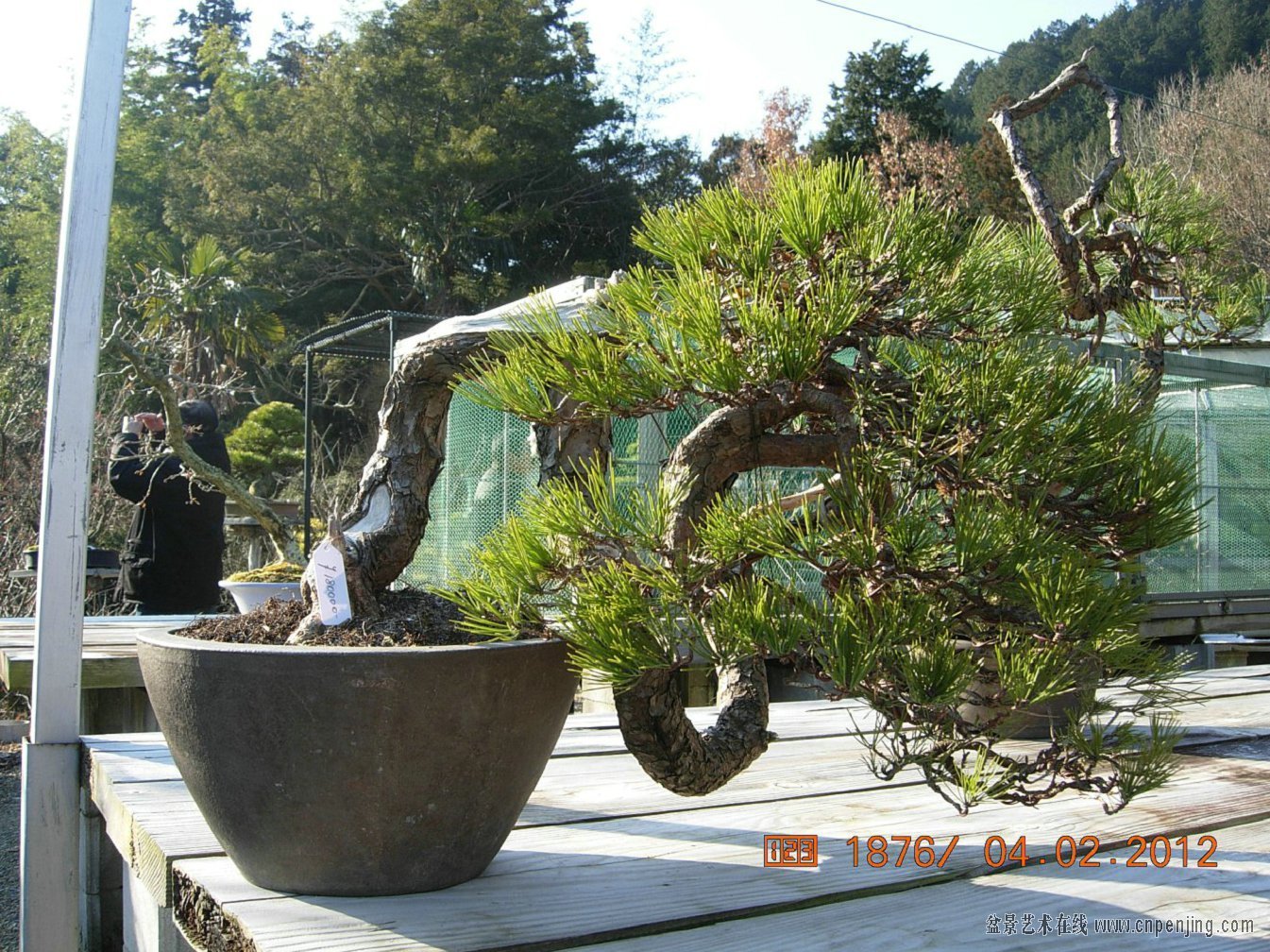 184723rehh165f1qq6lnfx.jpg