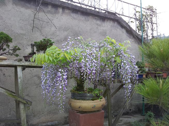 20130322_185317.jpg