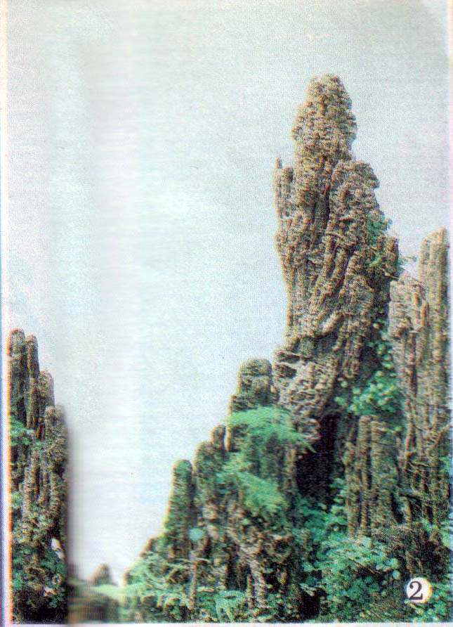ݥȺ徺㡷2ΰİͶ.jpg