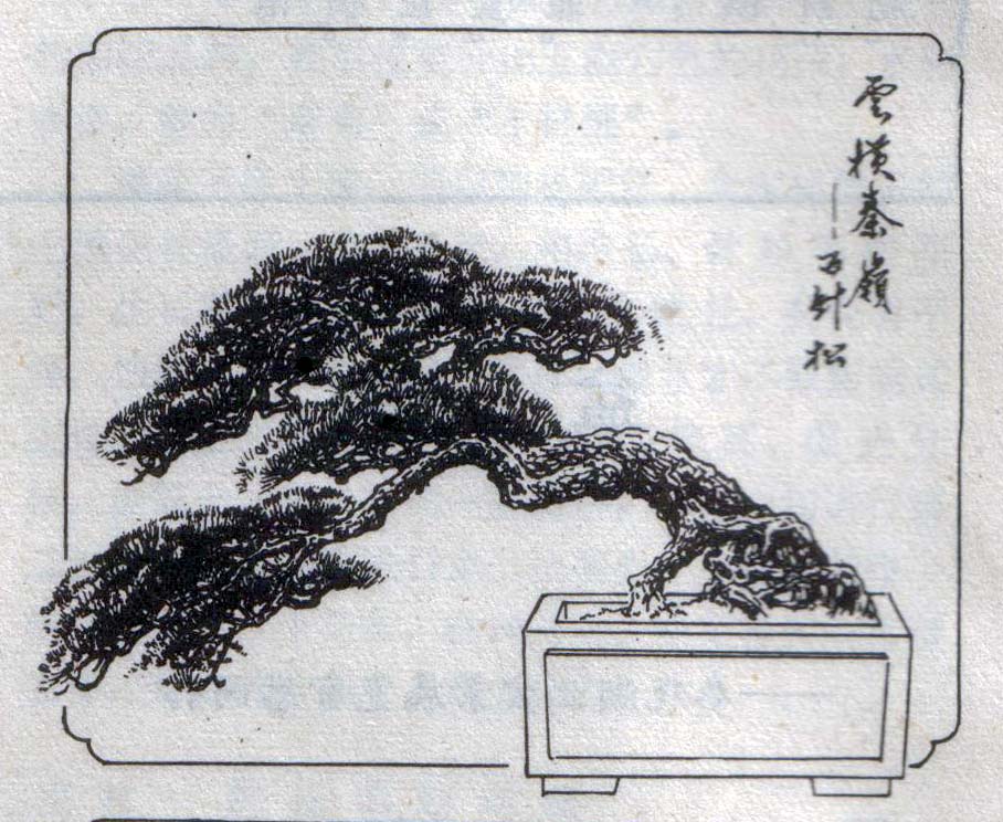 ݥ-辰2.jpg