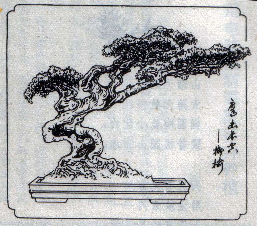 ݥ-辰3.jpg