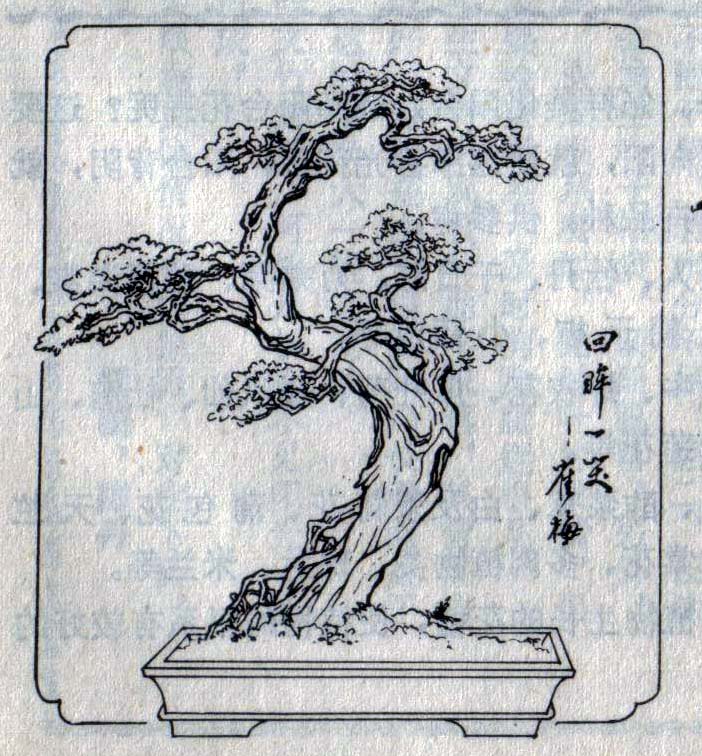 ݥ-辰4.jpg