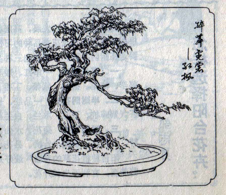 ݥ-辰5.jpg