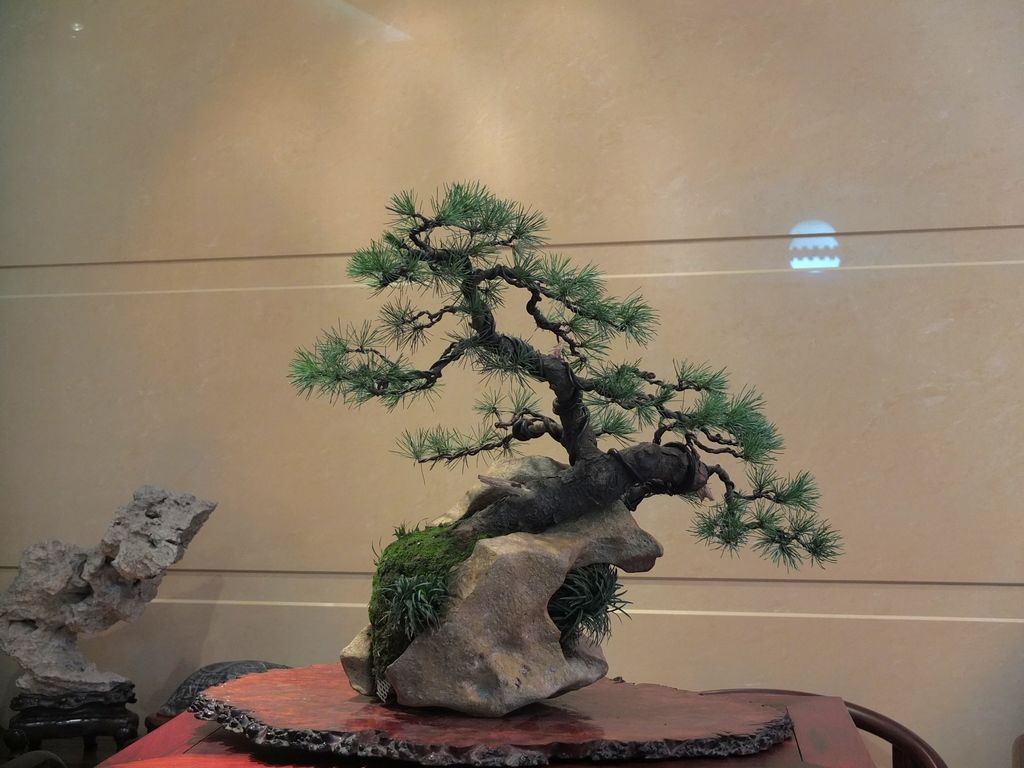 DSCF2582.jpg