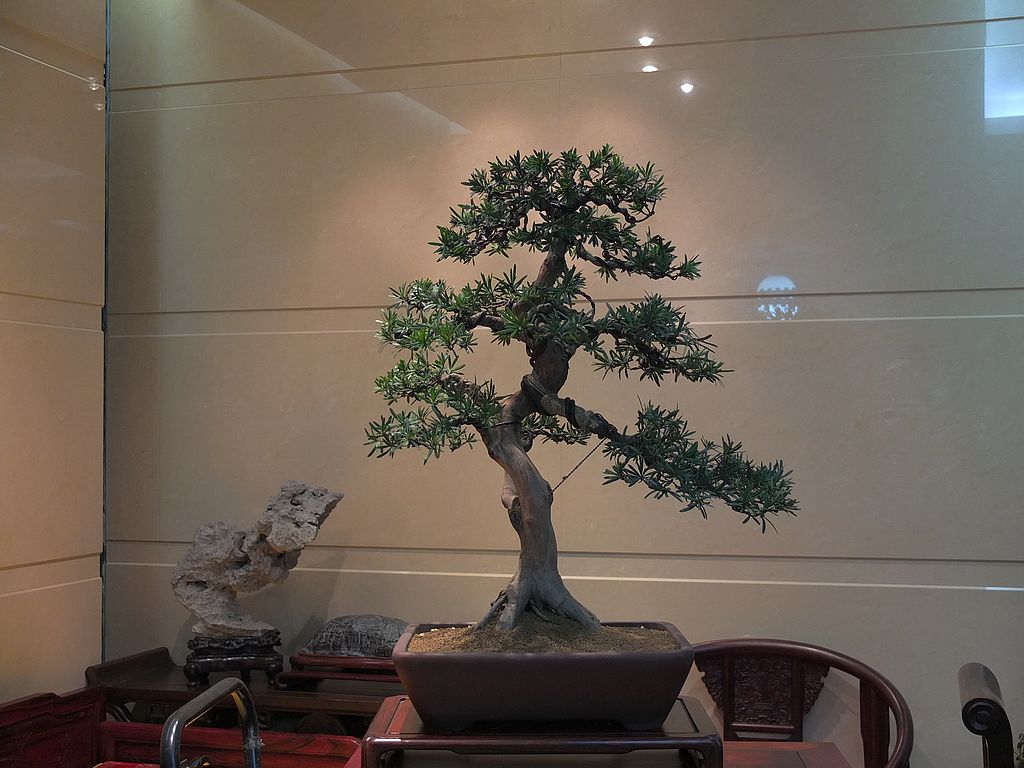 DSCF2553.jpg