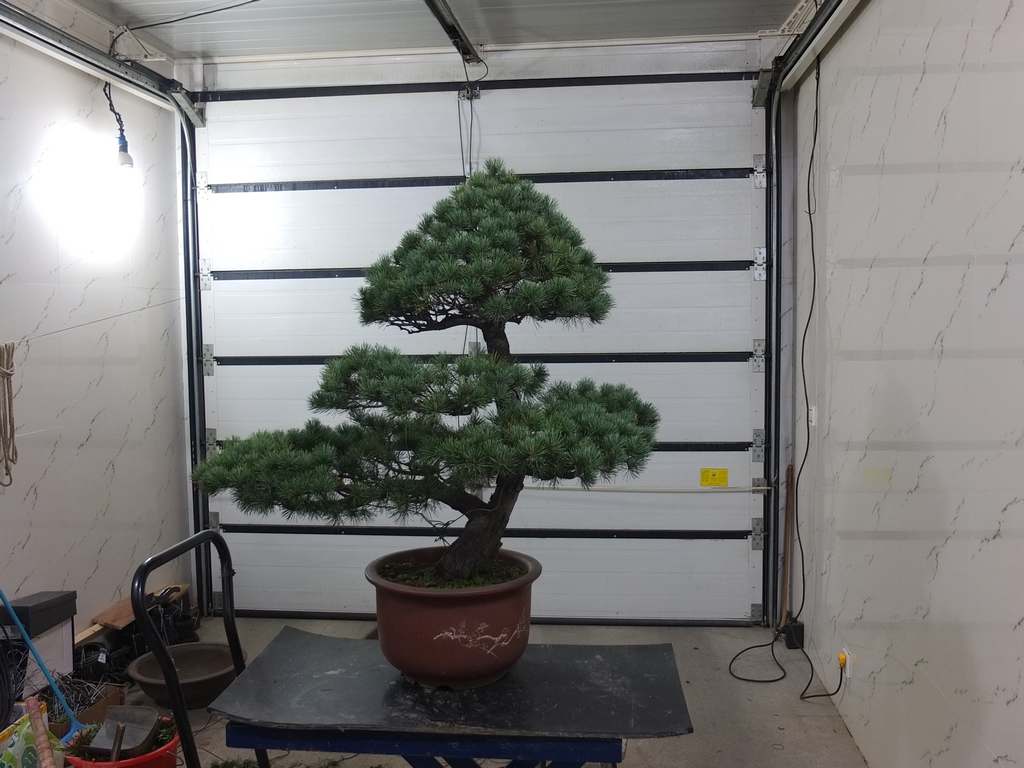 DSCF2591.jpg