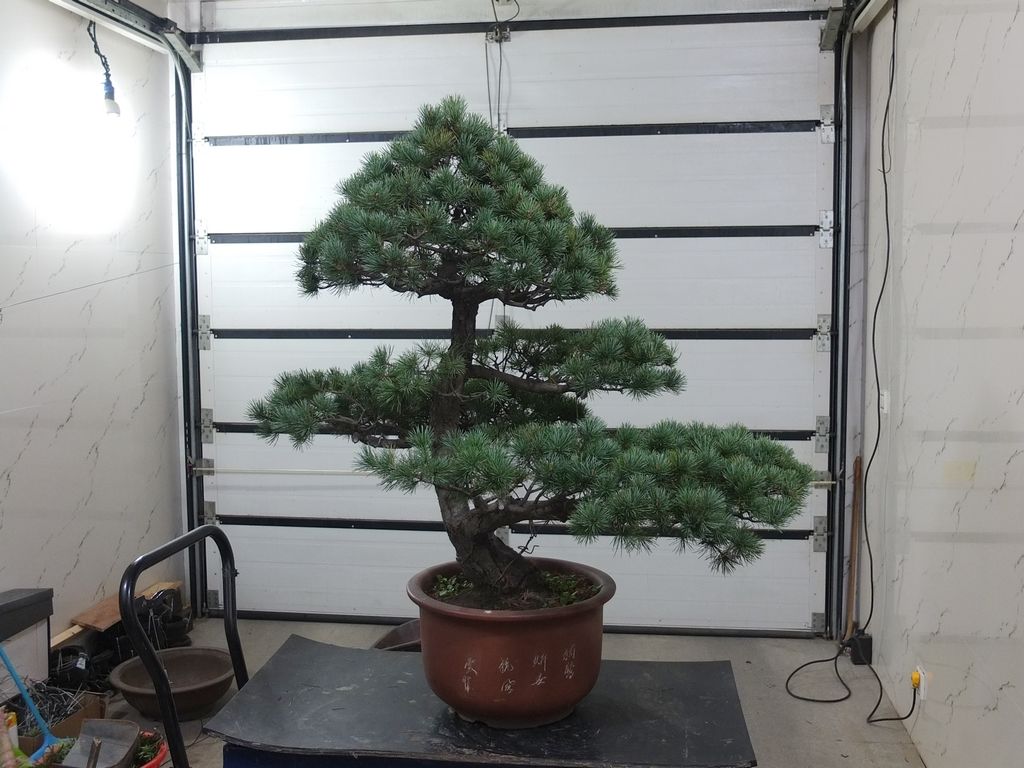 DSCF2593.jpg
