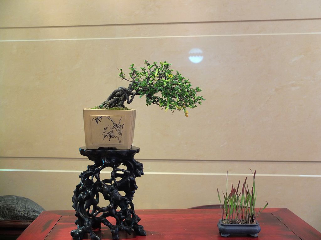 DSCF2985.jpg