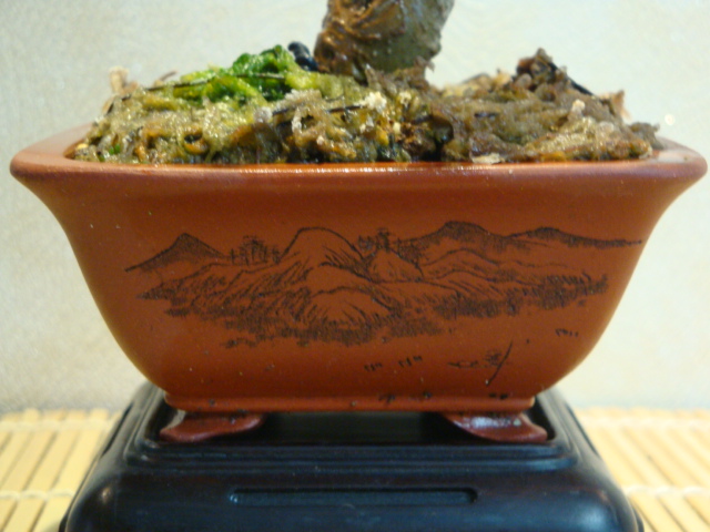 DSC02491.JPG