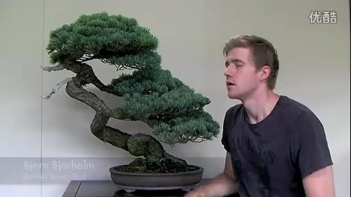 -ٴ⻪԰12-ѡǷ㻻޽ɵĸ_2013323215917.JPG