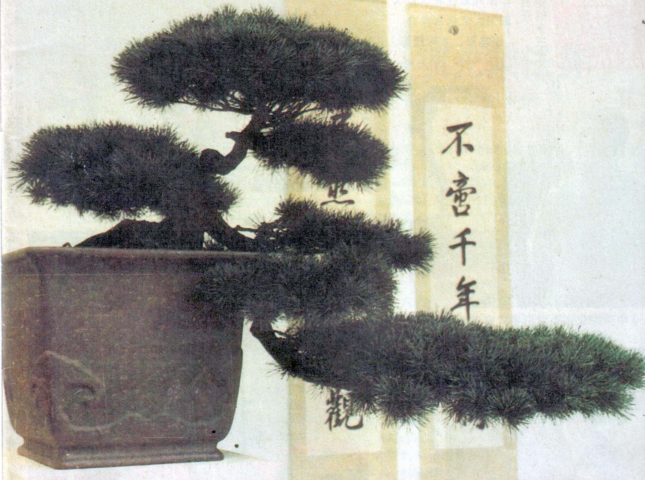 ݥ-1987-6ڡľ辰.jpg