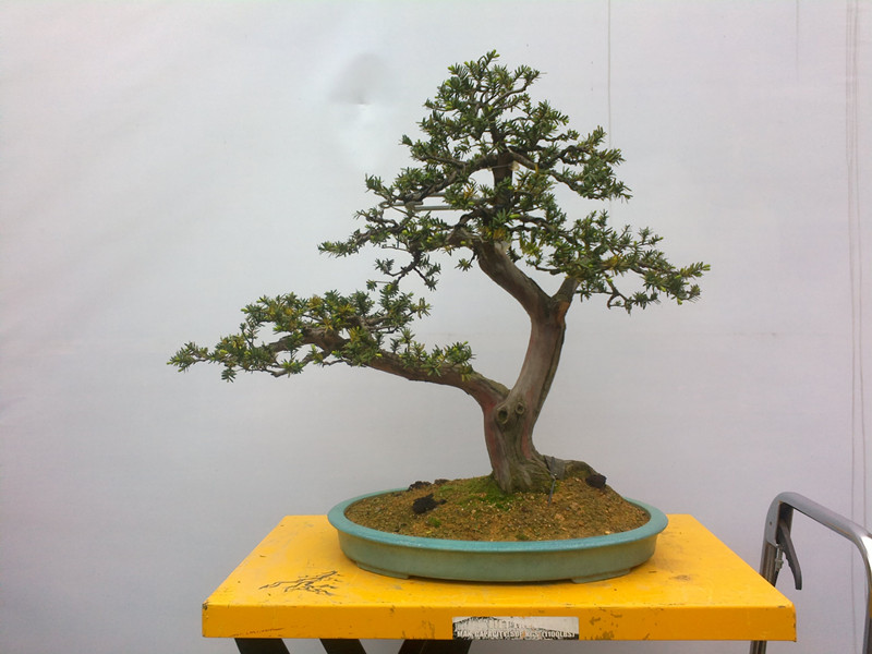 2013-03-23-1937_.jpg