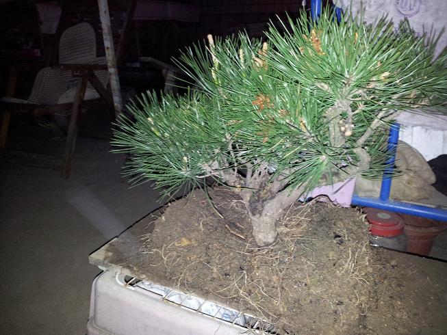 20130324_220544.jpg