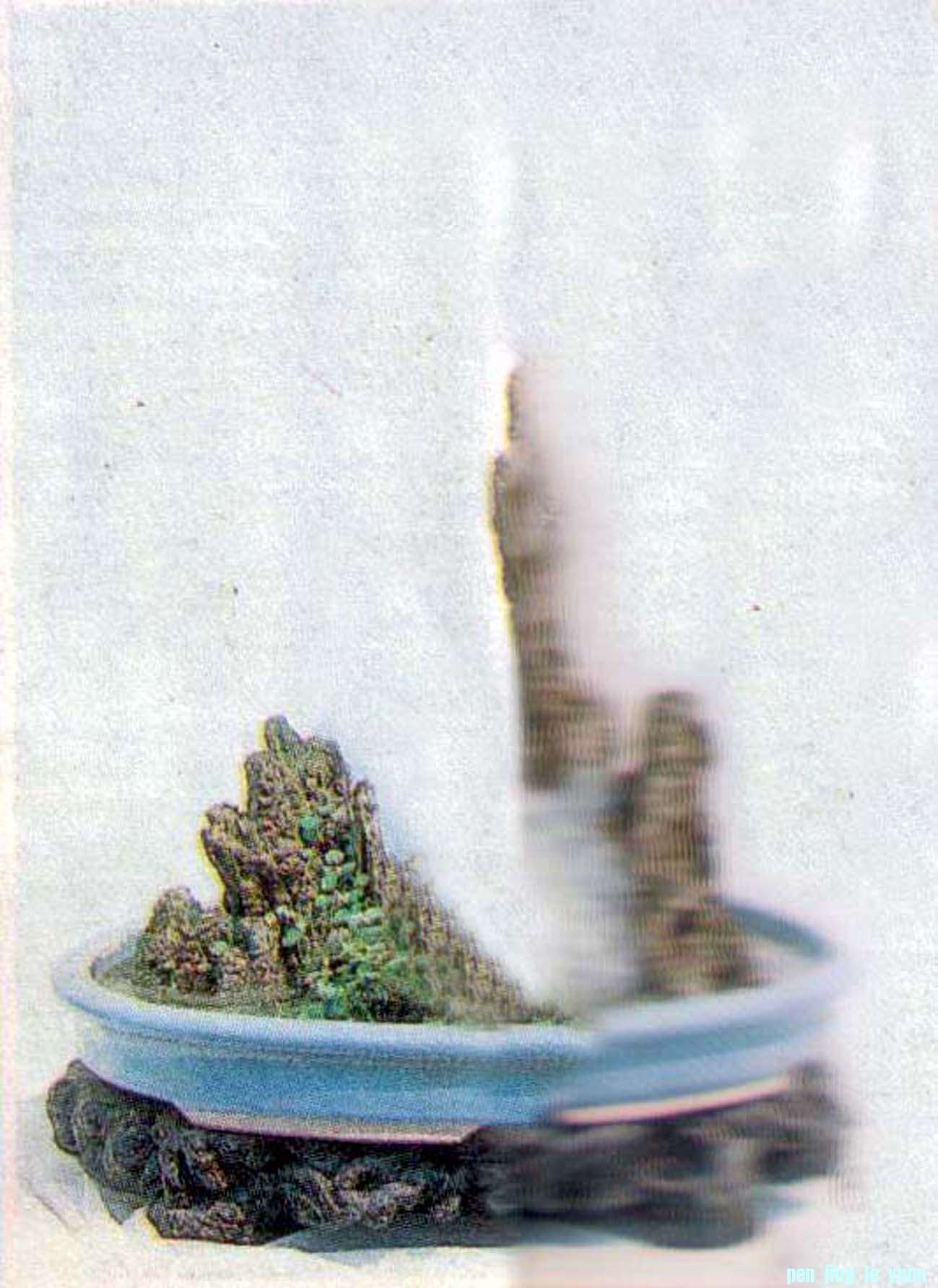 ݥȺ徺㡷6ϪӾֲ֮2.jpg