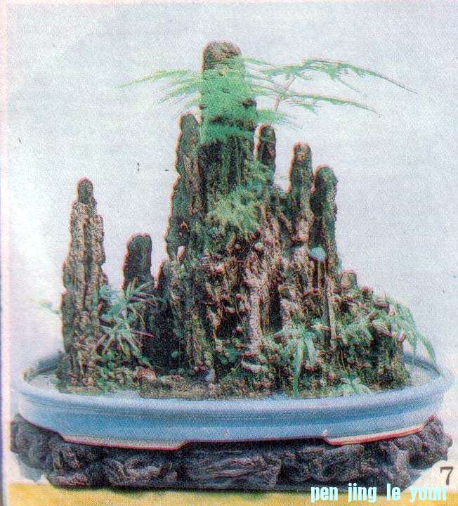 ݥȺ徺㡷7ʴֲ֮3.jpg