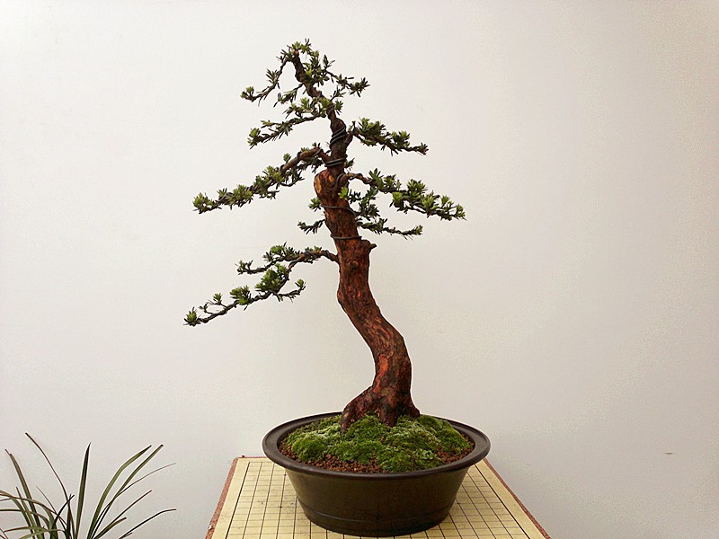 201303242632_.jpg