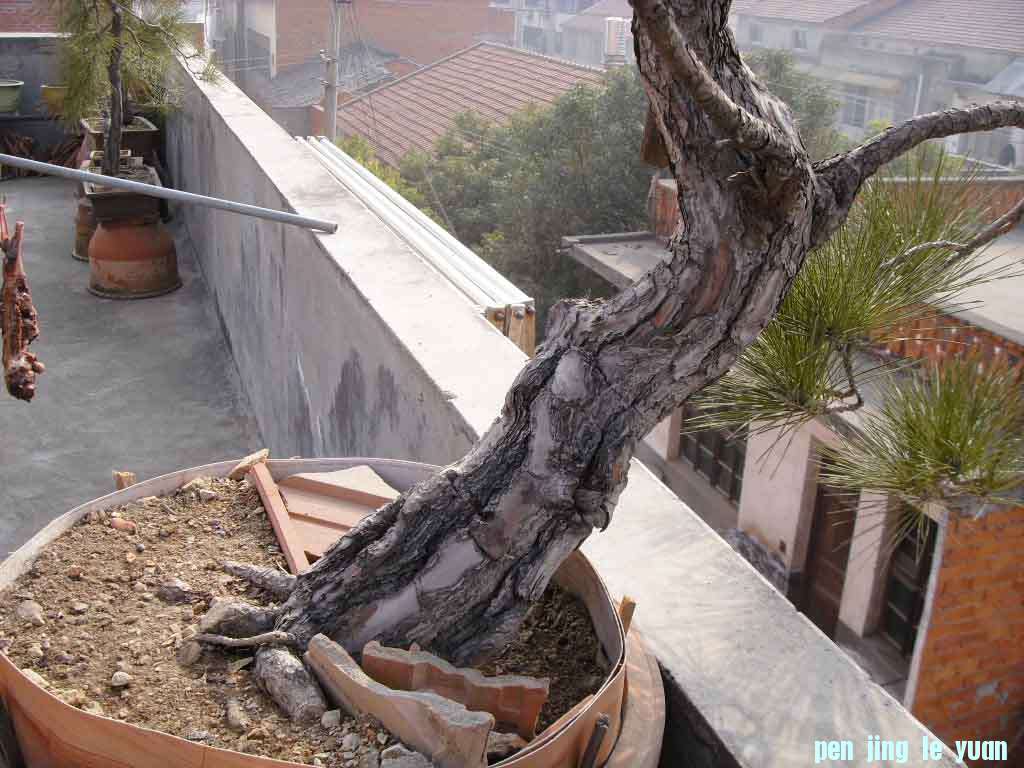 SDC13199.JPG