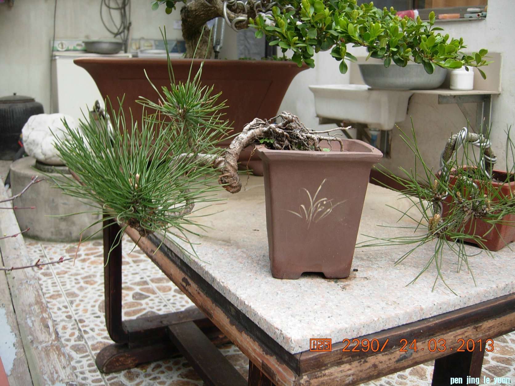 DSCN6578.JPG