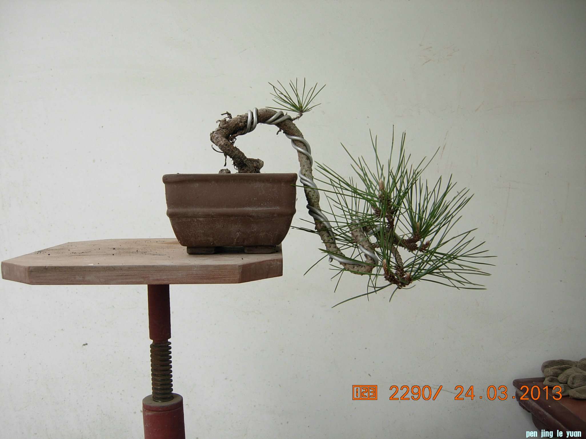 DSCN6580.JPG