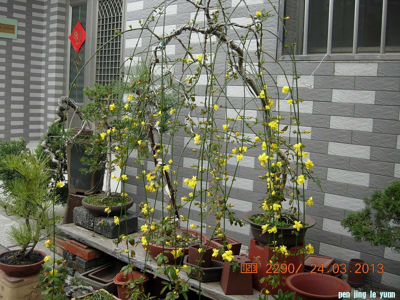DSCN6581.JPG