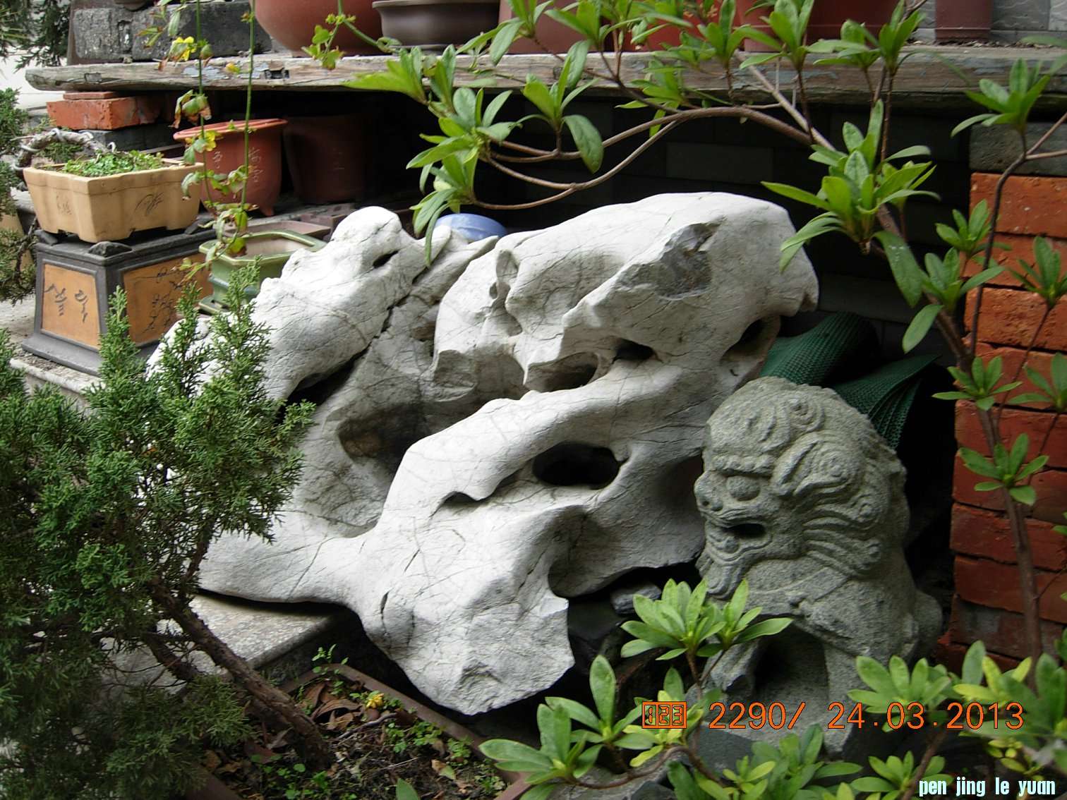 DSCN6583.JPG