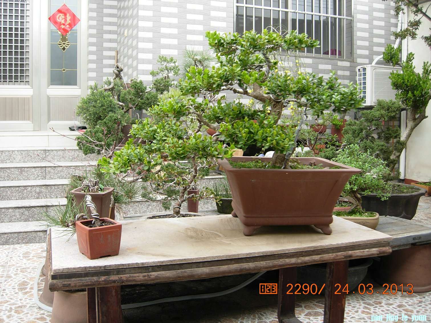 DSCN6586.JPG