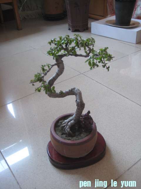 IMG_5838.JPG