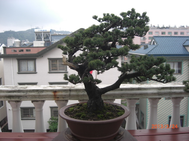CIMG6244.JPG