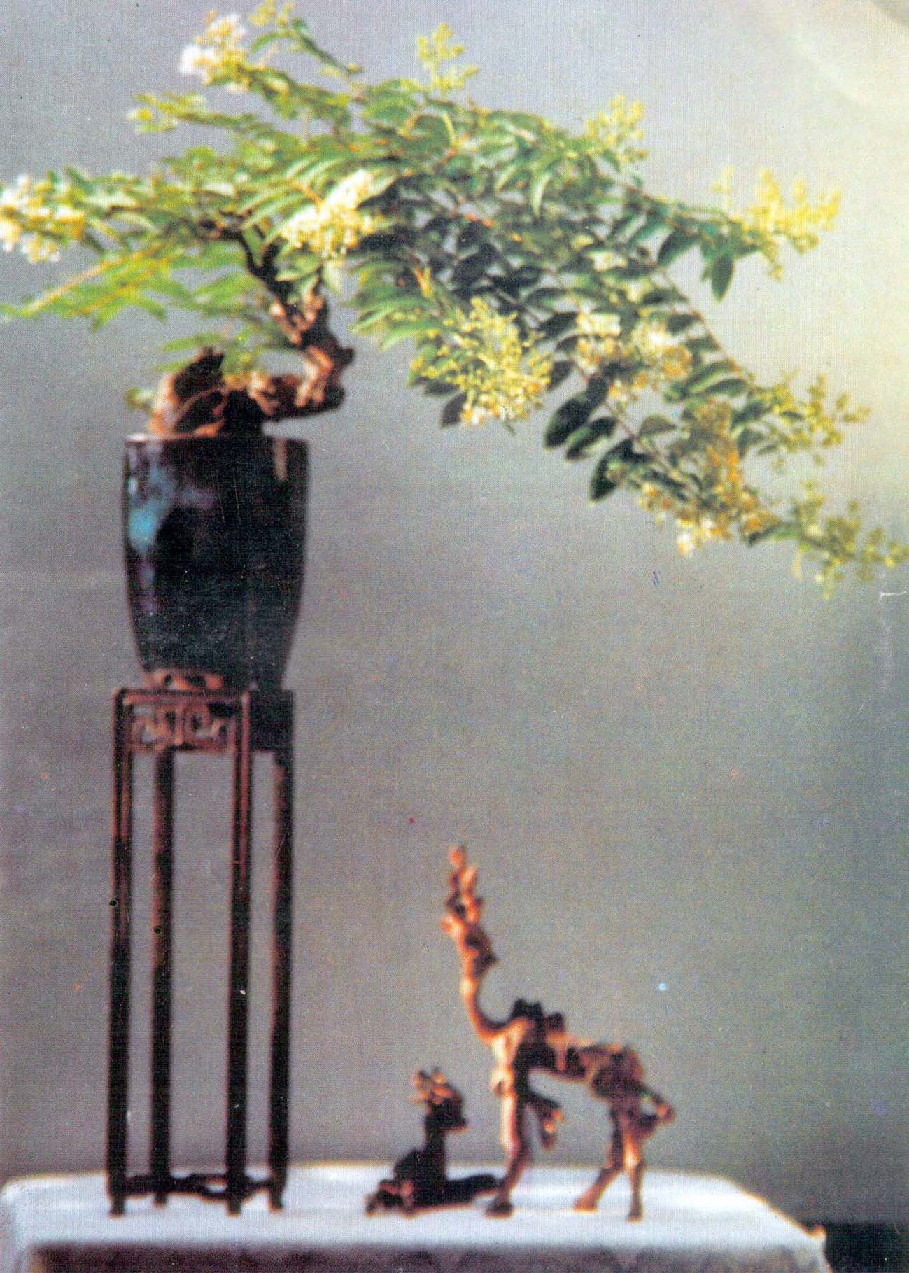 5ݥ-СϢ ˮޱ ľ88-1.jpg